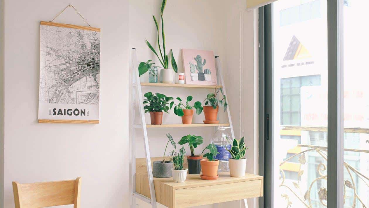 Free Flower Pots on Brown Wooden Table Near Glass Wall Stock Photo