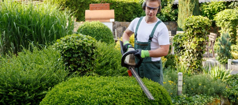 What Are the Most Important Aspects of Landscape Maintenance?