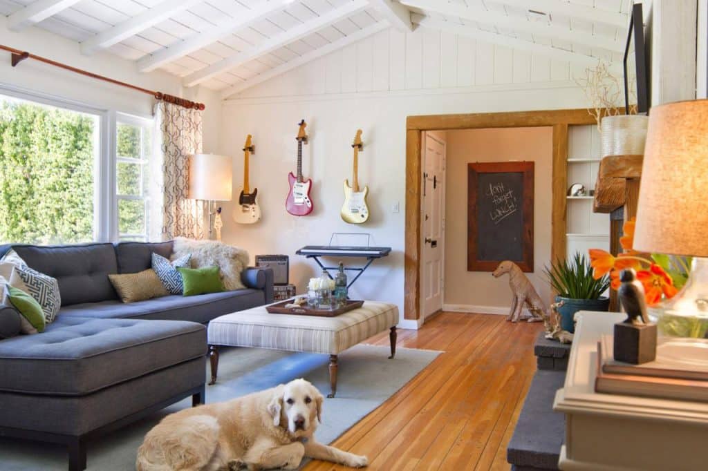 Top 10 Home Decorating Tips for Pet Owners