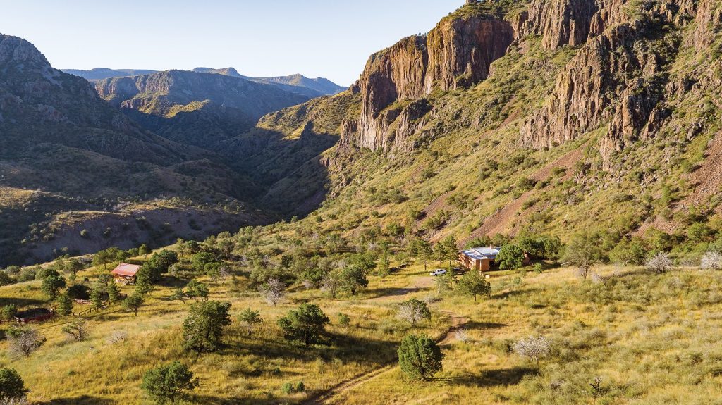 Exploring the Allure of Texas and Montana Ranches