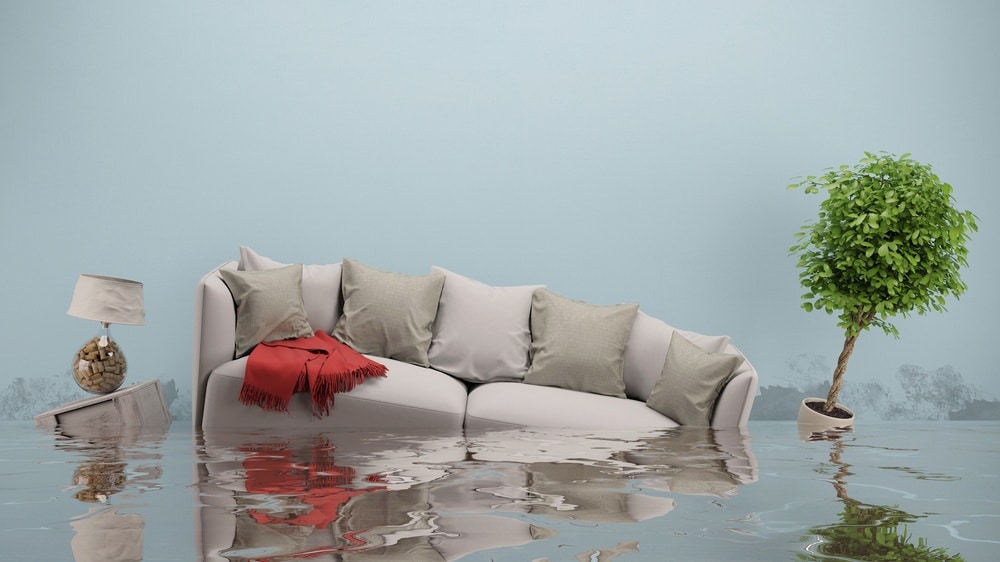 The Essential Guide To Water Damage Restoration for Property Management