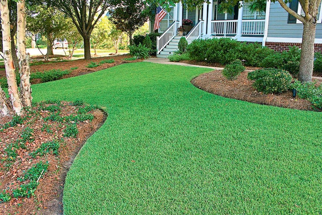 Having a Green Lawn Without Using Harmful Chemicals