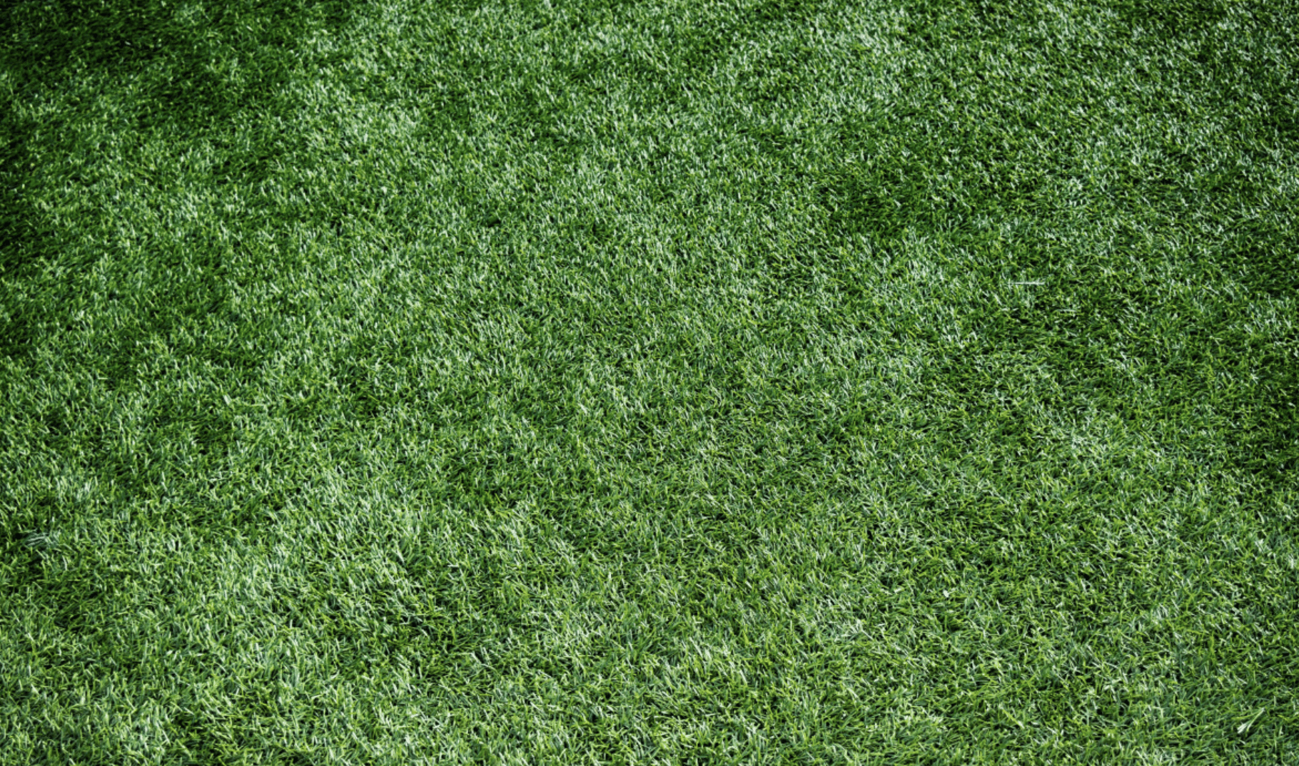 Will Artificial Grass Add Value or Reduce the Value of My Home?