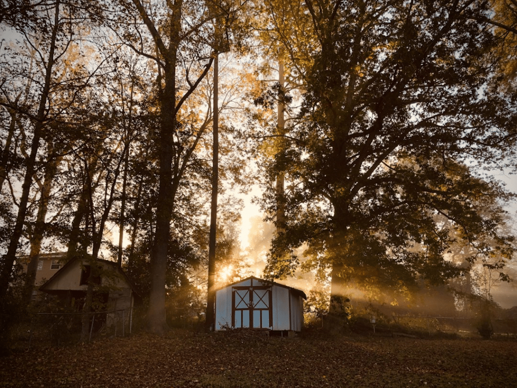 Shed homes are a cost-efficient and sustainable alternative to traditional housing. The benefits are many, and we dive into them here. Read on for more.