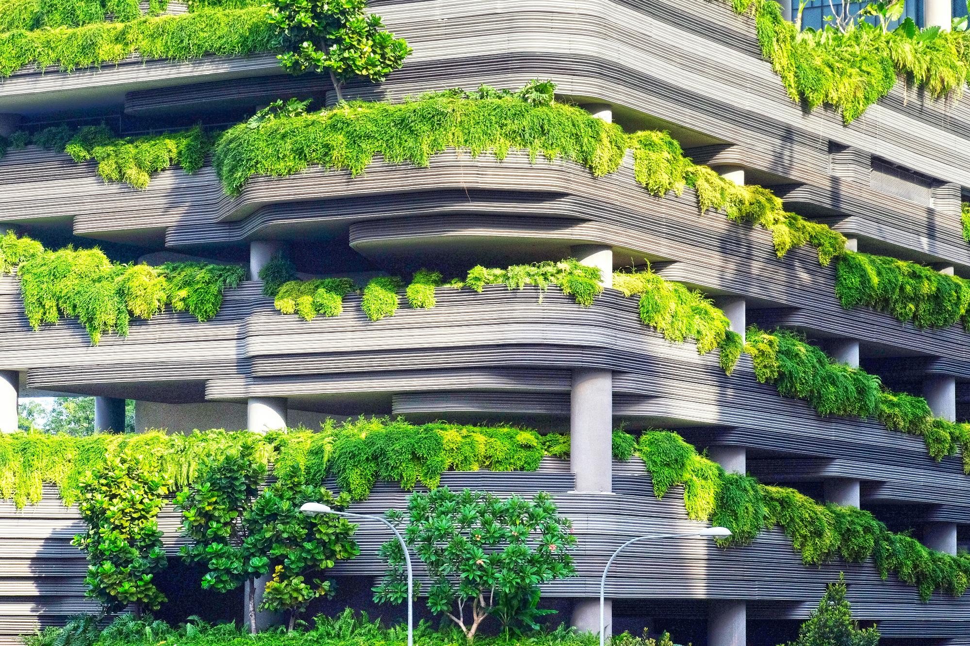 Sustainable Architecture: Building a Greener Future