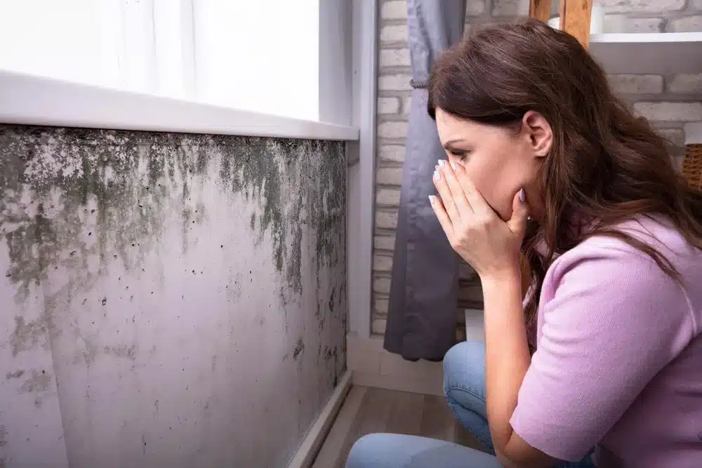 The Dangers Of Living In A Home With Mould