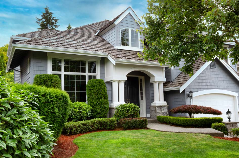 Maintain the Exterior and Landscaping